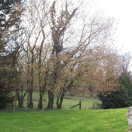 Chateau Champigny Panzió Maillet  Kültér fotó